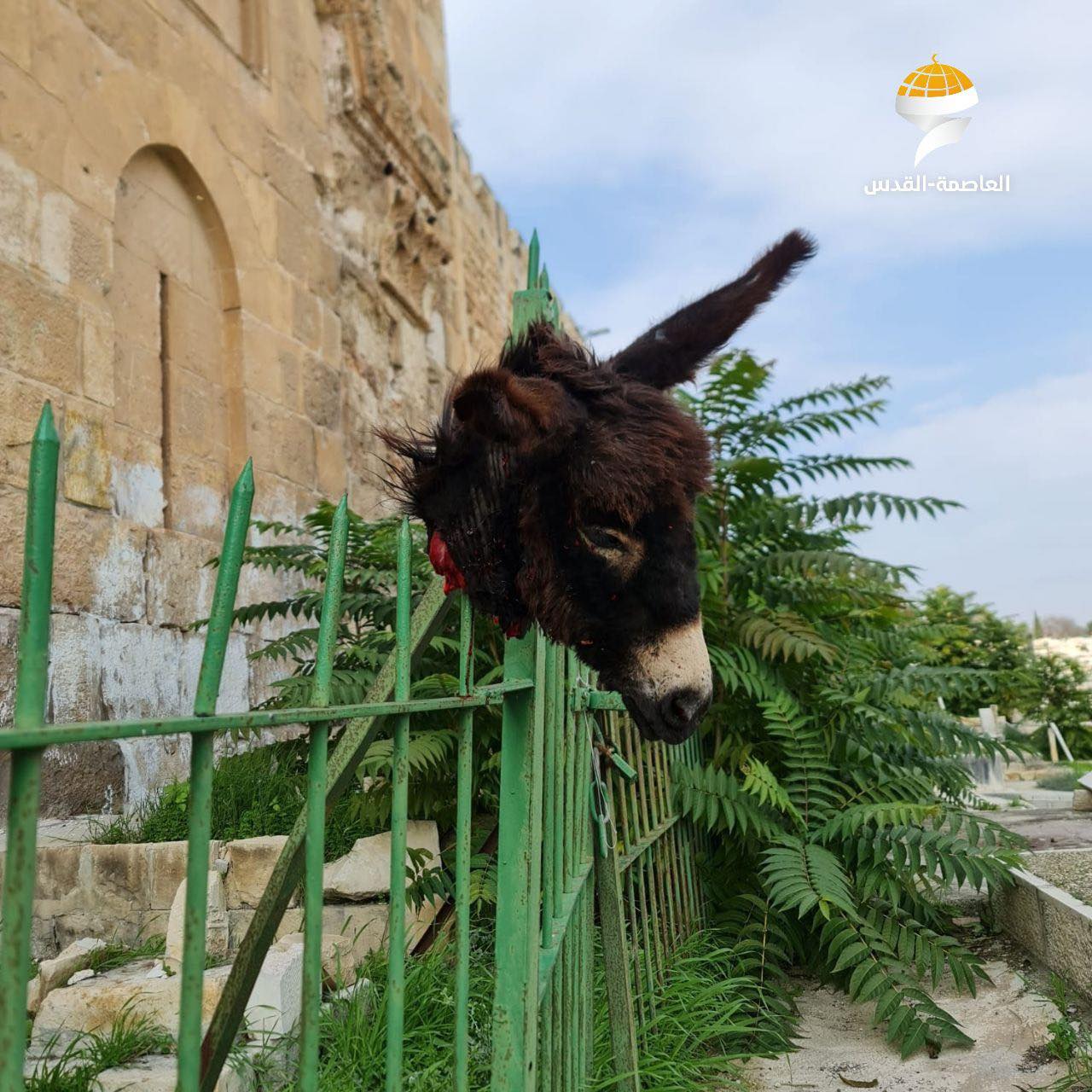 WhatsApp Image 2023-12-27 at 13.22.12.jpeg